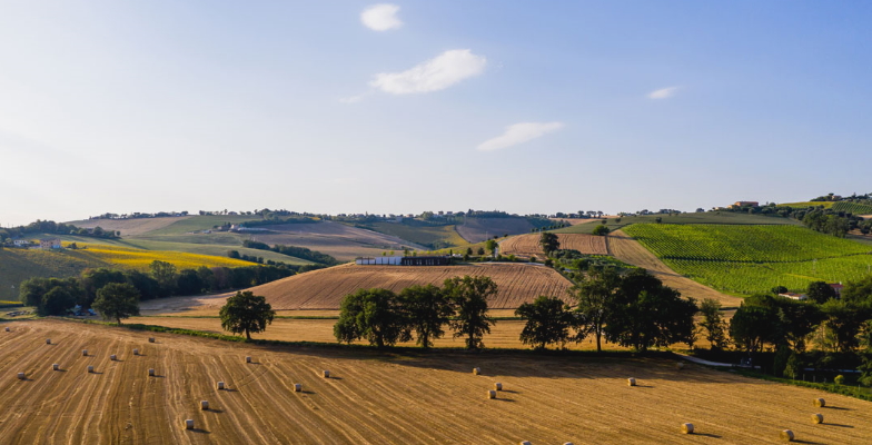 Mancini Bucatini 500g Pasta
