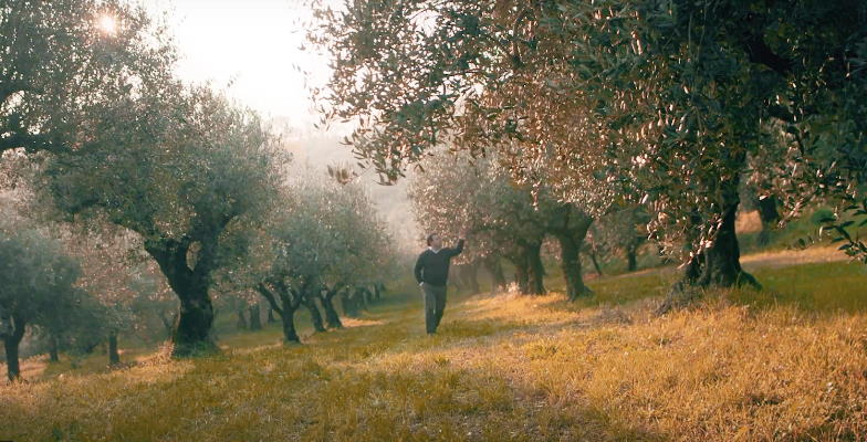 Frantoi Redoro Condimento a base di Olio Extra Vergine con Limone - mit Zitrone Frantoi Redoro Condimento a base di Olio Extra Vergine con Limone - mit Zitrone